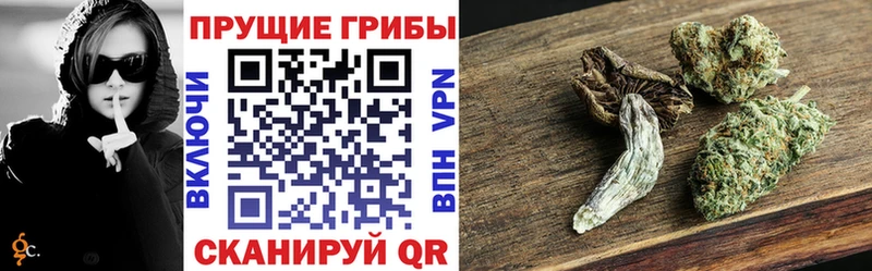 Галлюциногенные грибы Cubensis  Хвалынск 