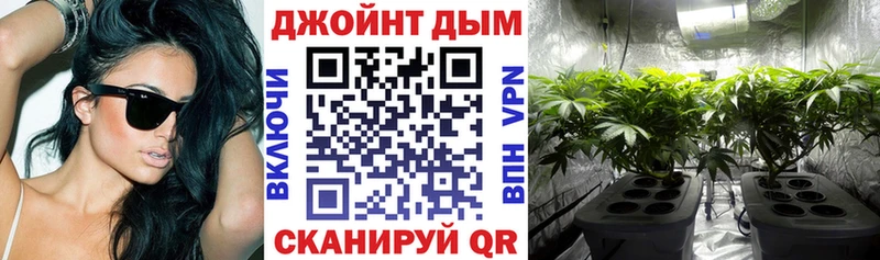 Бошки марихуана AK-47  площадка какой сайт  Хвалынск 